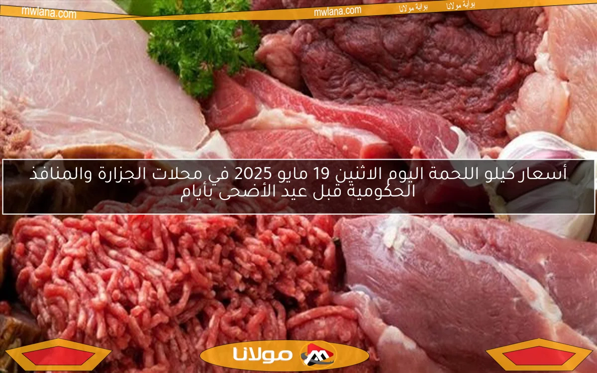أسعار كيلو اللحمة اليوم الاثنين 19 مايو 2025 في محلات الجزارة والمنافذ الحكومية قبل عيد الأضحى بأيام