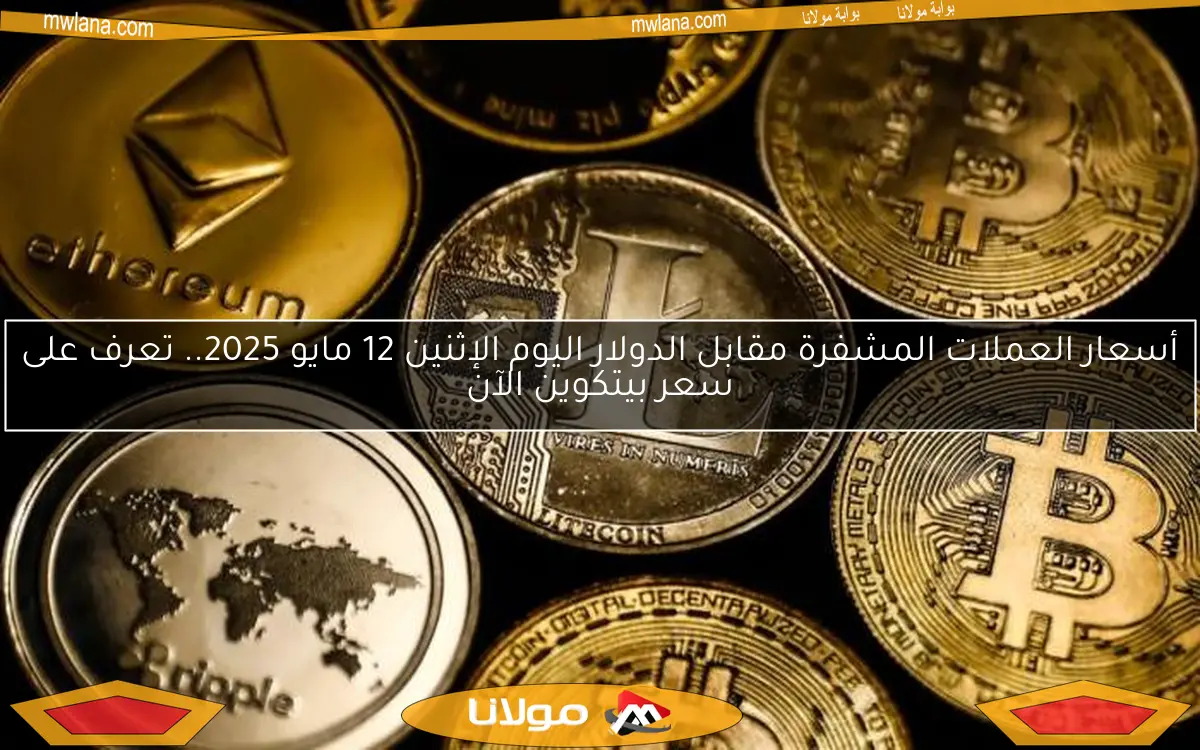 أسعار العملات المشفرة مقابل الدولار اليوم الإثنين 12 مايو 2025.. تعرف على سعر بيتكوين الآن
