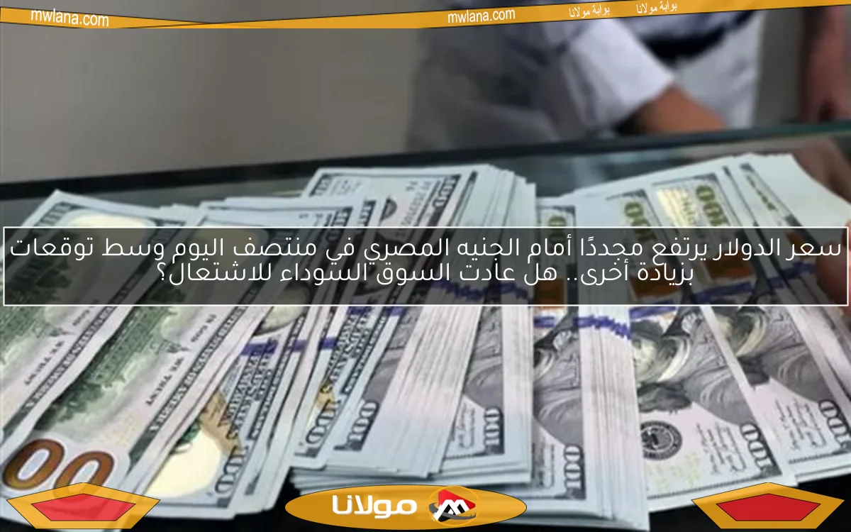 سعر الدولار يرتفع مجددًا أمام الجنيه المصري في منتصف اليوم وسط توقعات بزيادة أخرى.. هل عادت السوق السوداء للاشتعال؟