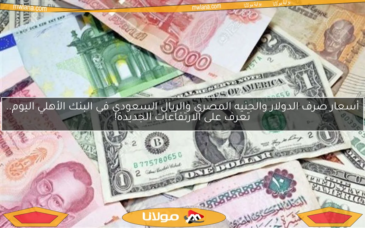أسعار صرف الدولار والجنيه المصري والريال السعودي في البنك الأهلي اليوم.. تعرف على الارتفاعات الجديدة!