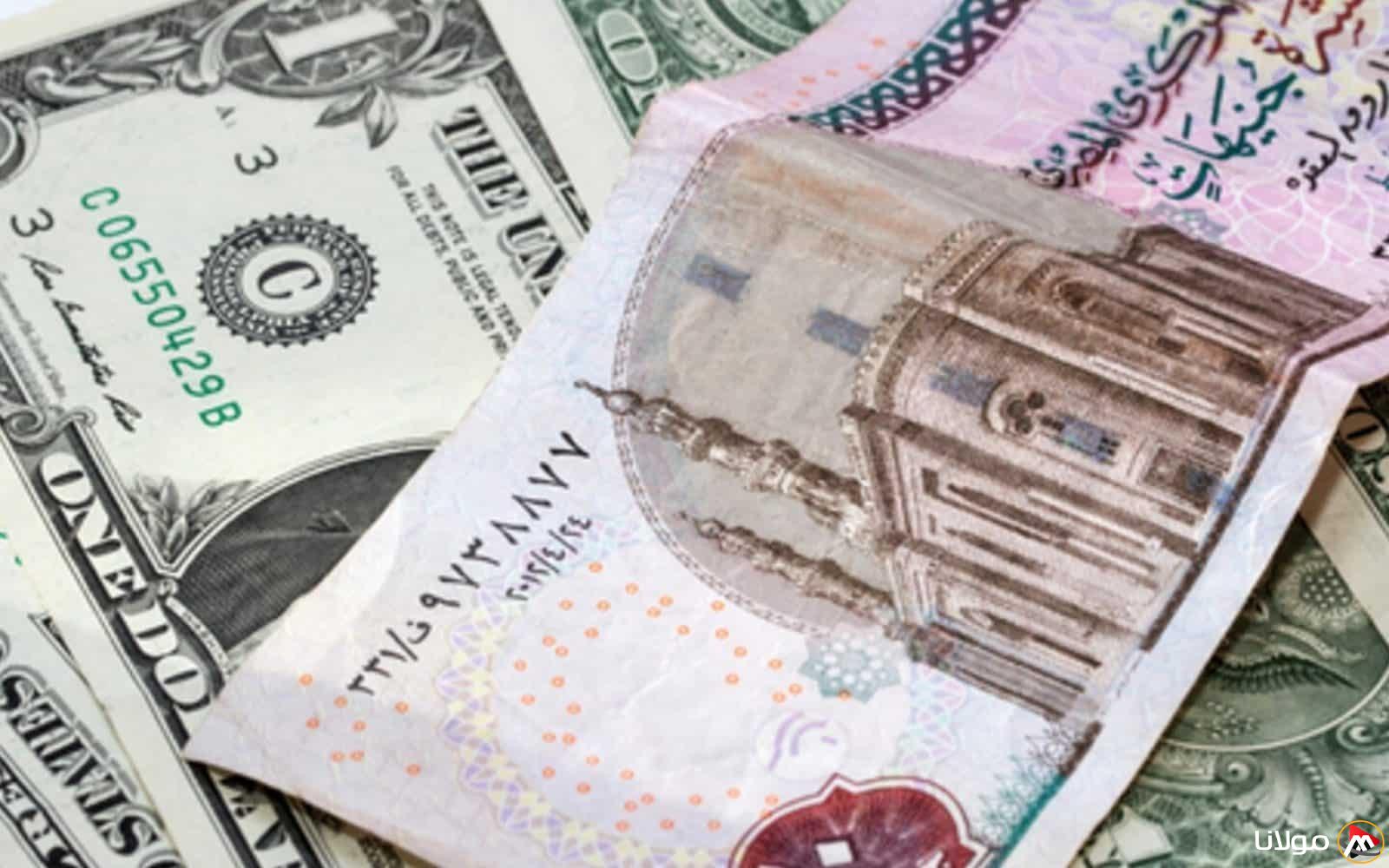 سعر الدولار اليوم مقابل الجنيه المصري 2 مايو يشهد ارتفاعًا وسط تحديات الاقتصاد المحلي