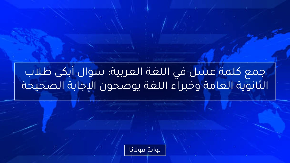 جمع كلمة عسل في اللغة العربية: سؤال أبكى طلاب الثانوية العامة وخبراء اللغة يوضحون الإجابة الصحيحة