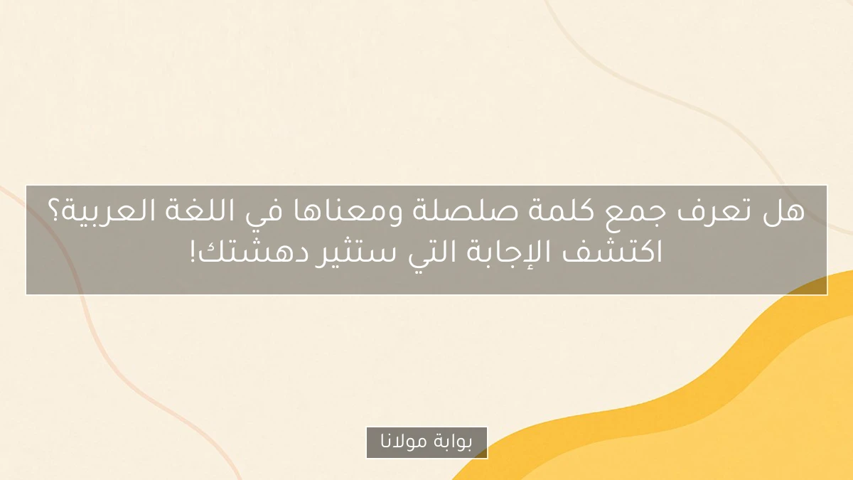 هل تعرف جمع كلمة صلصلة ومعناها في اللغة العربية؟ اكتشف الإجابة التي ستثير دهشتك!