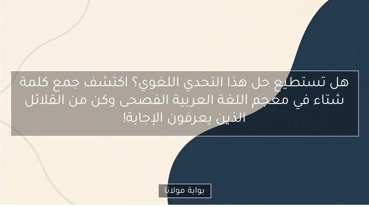 هل تستطيع حل هذا التحدي اللغوي؟ اكتشف جمع كلمة شتاء في معجم اللغة العربية الفصحى وكن من القلائل الذين يعرفون الإجابة!
