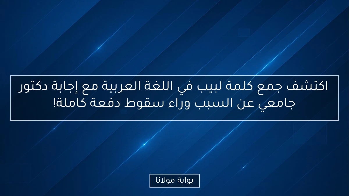 اكتشف جمع كلمة لبيب في اللغة العربية مع إجابة دكتور جامعي عن السبب وراء سقوط دفعة كاملة!