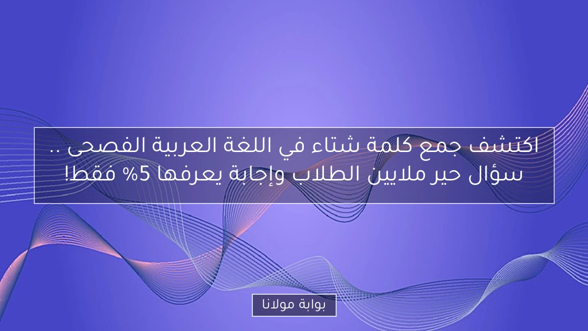 اكتشف جمع كلمة شتاء في اللغة العربية الفصحى .. سؤال حير ملايين الطلاب وإجابة يعرفها 5% فقط!