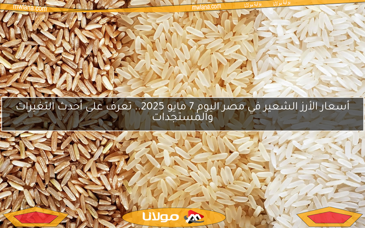 أسعار الأرز الشعير في مصر اليوم 7 مايو 2025.. تعرف على أحدث التغيرات والمستجدات