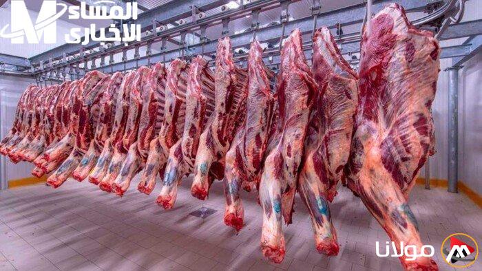 أسعار اللحوم الحمراء اليوم السبت 3 مايو 2025.. اغتنم الفرصة قبل العيد!