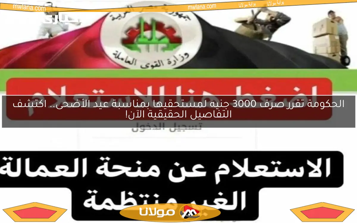 الحكومة تقرر صرف 3000 جنيه لمستحقيها بمناسبة عيد الأضحى.. اكتشف التفاصيل الحقيقية الآن!