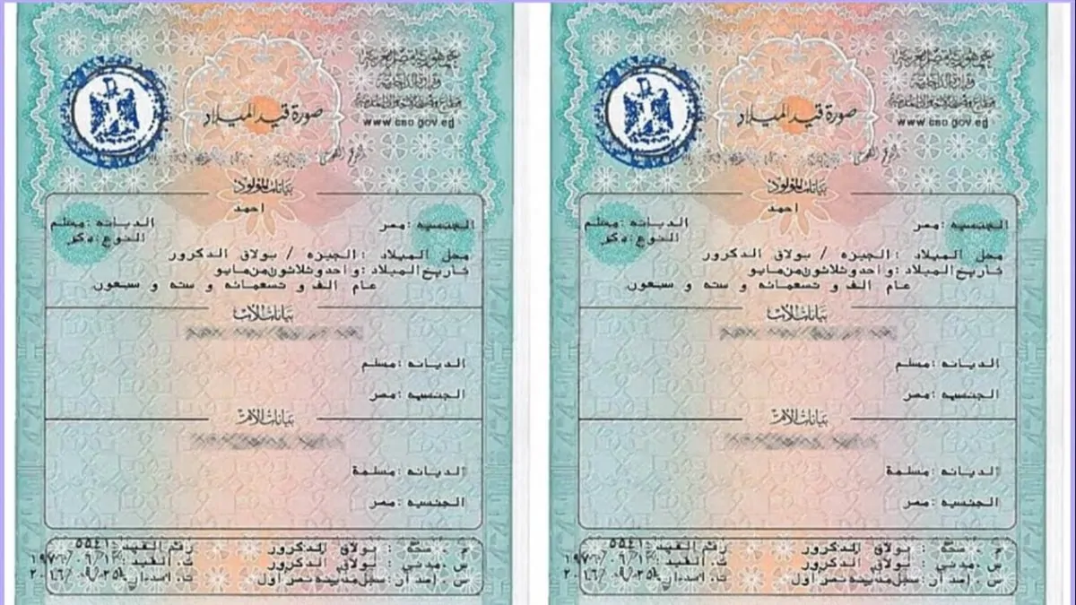 شهادة الميلاد الرقمية للأسر الحاضنة.. كيف يمكنك تحميلها على الموبايل؟
