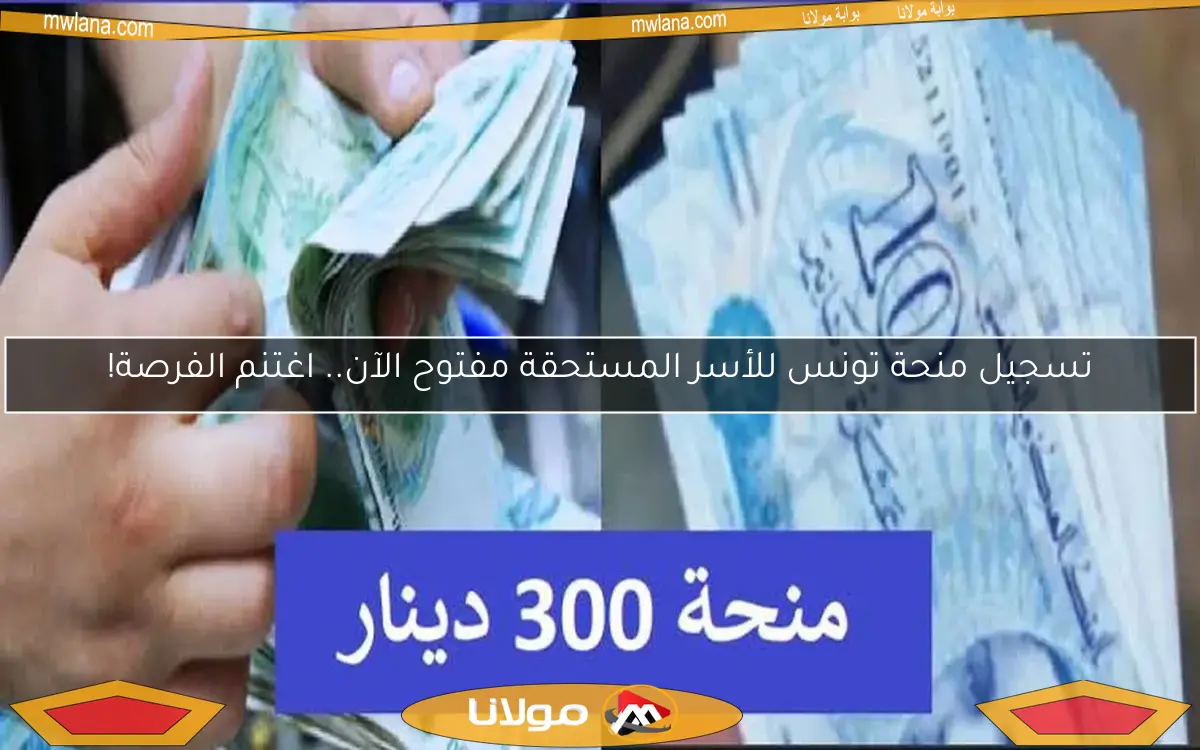 تسجيل منحة تونس للأسر المستحقة مفتوح الآن.. اغتنم الفرصة!