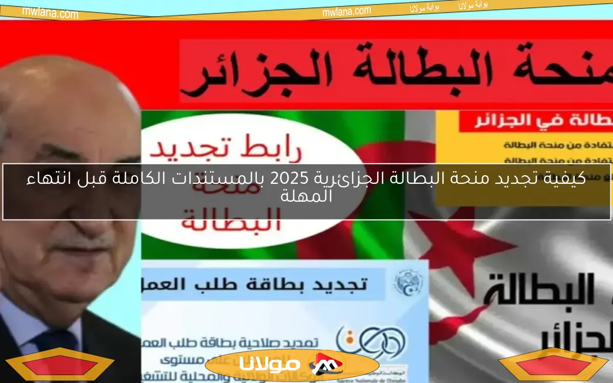 كيفية تجديد منحة البطالة الجزائرية 2025 بالمستندات الكاملة قبل انتهاء المهلة
