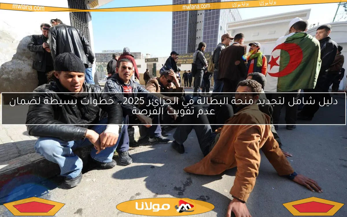 دليل شامل لتجديد منحة البطالة في الجزائر 2025.. خطوات بسيطة لضمان عدم تفويت الفرصة