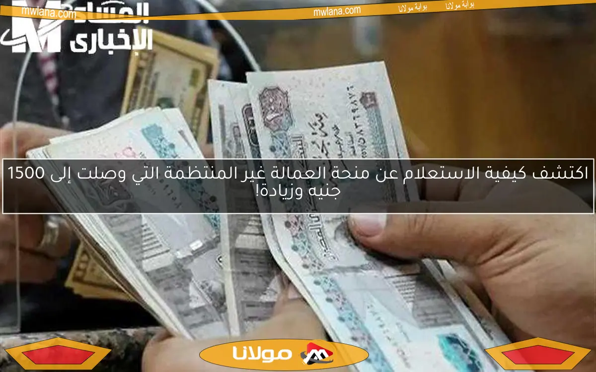 اكتشف كيفية الاستعلام عن منحة العمالة غير المنتظمة التي وصلت إلى 1500 جنيه وزيادة!