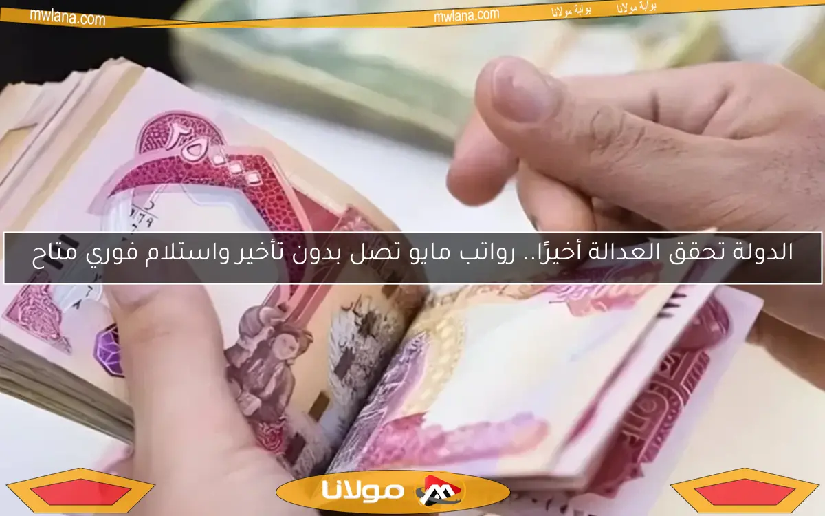 الدولة تحقق العدالة أخيرًا.. رواتب مايو تصل بدون تأخير واستلام فوري متاح