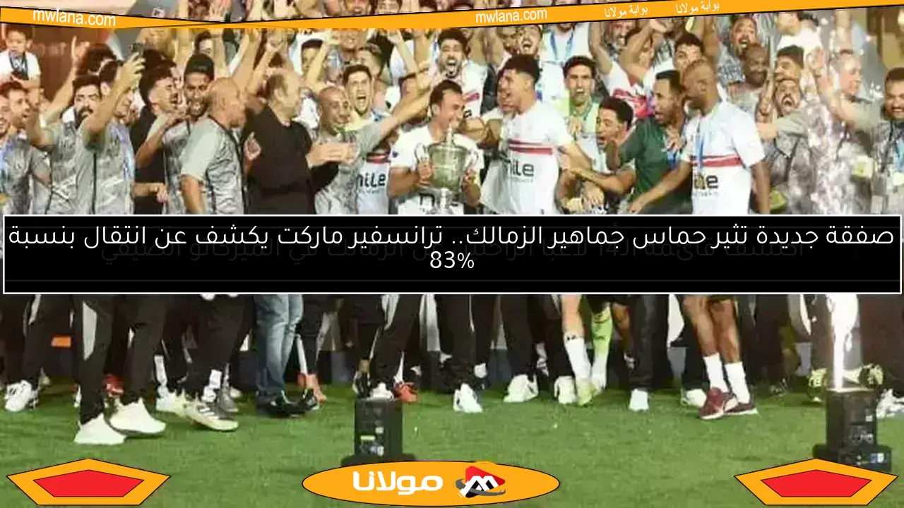الزمالك يختار جهازه الفني الجديد.. نونو ألميدا يبرز كمرشح بارز