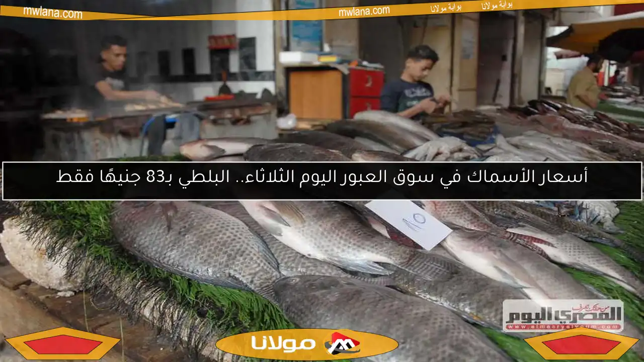 أسعار الأسماك في سوق العبور اليوم الثلاثاء.. البلطي بـ83 جنيهًا فقط