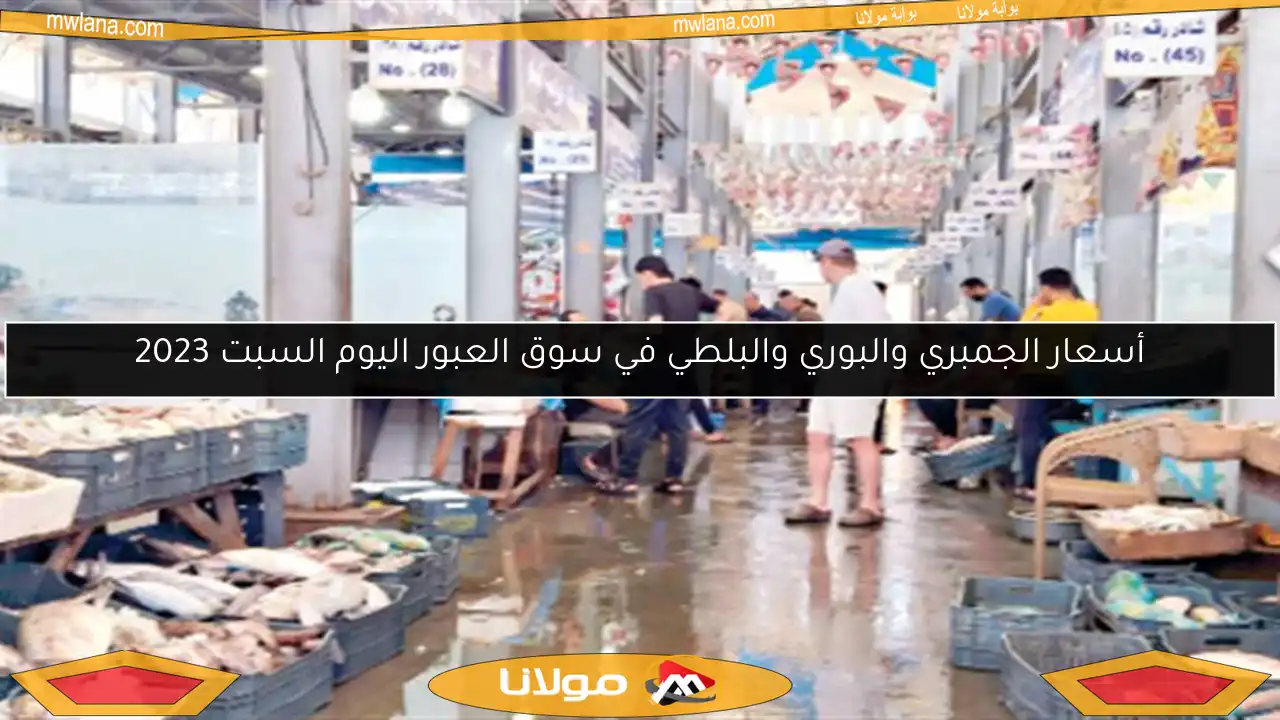 أسعار الجمبري والبوري والبلطي في سوق العبور اليوم السبت 2023