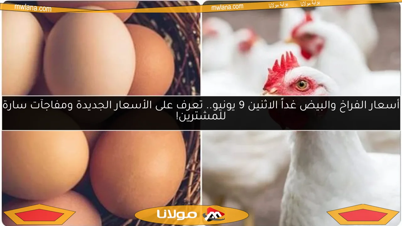 أسعار الفراخ والبيض غداً الاثنين 9 يونيو.. تعرف على الأسعار الجديدة ومفاجآت سارة للمشترين!
