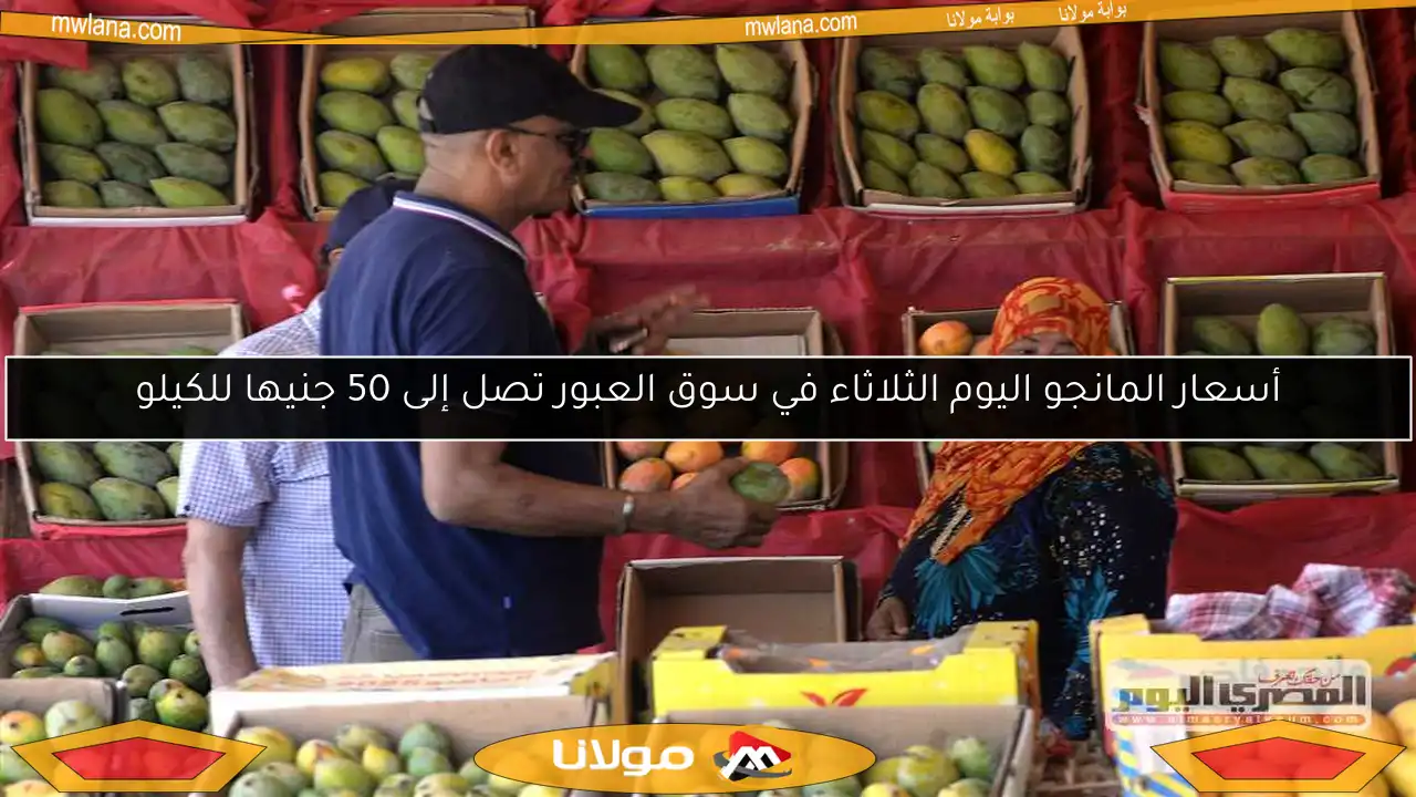 أسعار المانجو اليوم الثلاثاء في سوق العبور تصل إلى 50 جنيها للكيلو