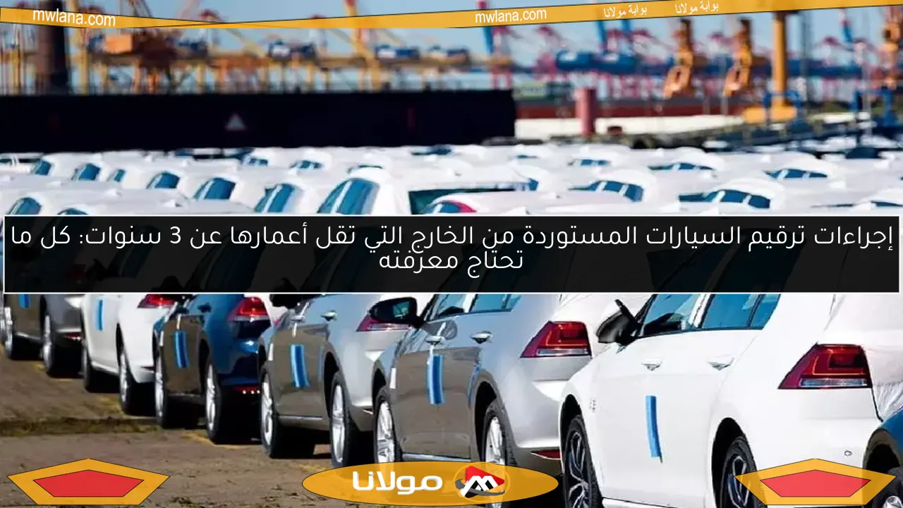 إجراءات ترقيم السيارات المستوردة من الخارج التي تقل أعمارها عن 3 سنوات: كل ما تحتاج معرفته