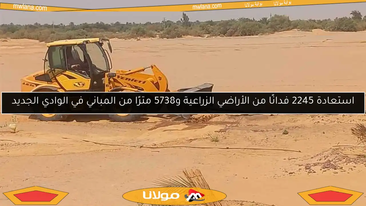 استعادة 2245 فدانًا من الأراضي الزراعية و5738 مترًا من المباني في الوادي الجديد