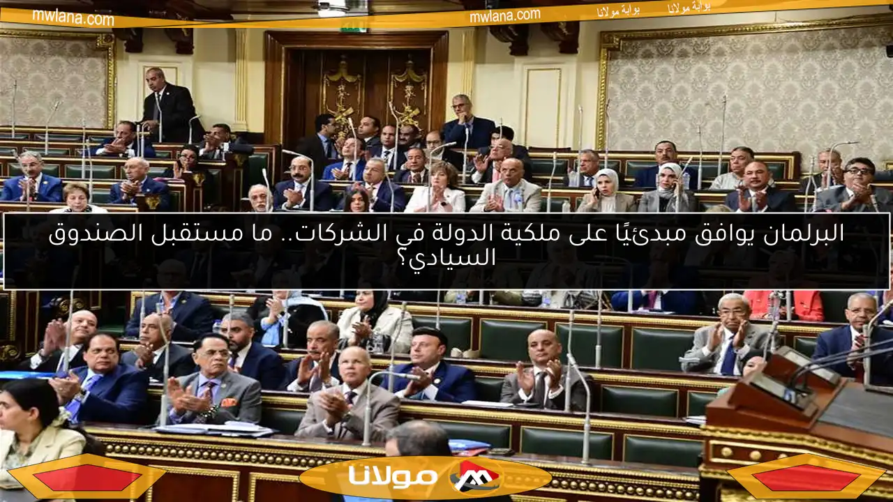 البرلمان يوافق مبدئيًا على ملكية الدولة في الشركات.. ما مستقبل الصندوق السيادي؟