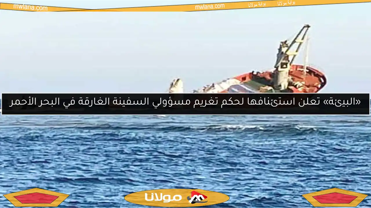 «البيئة» تعلن استئنافها لحكم تغريم مسؤولي السفينة الغارقة في البحر الأحمر