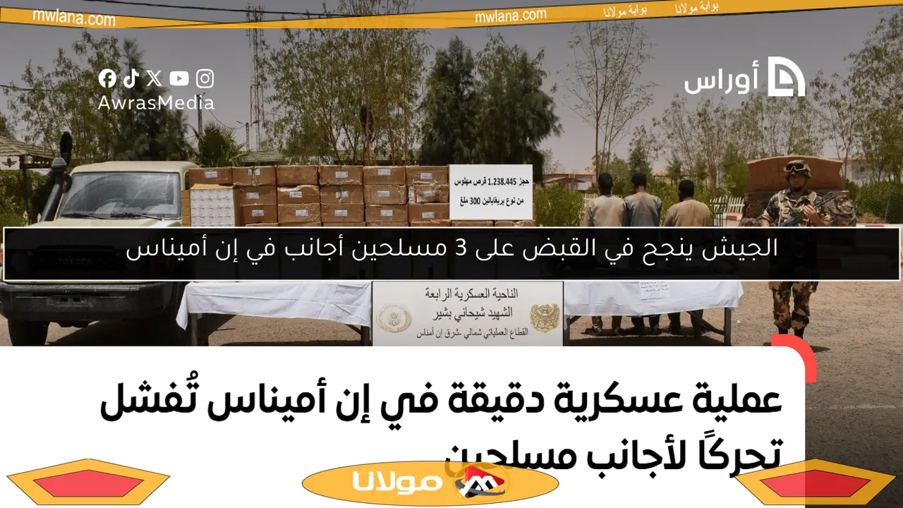 الجيش ينجح في القبض على 3 مسلحين أجانب في إن أميناس