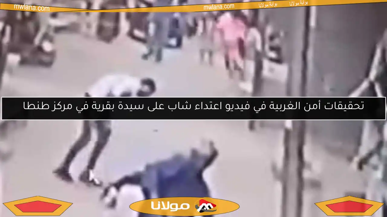 تحقيقات أمن الغربية في فيديو اعتداء شاب على سيدة بقرية في مركز طنطا