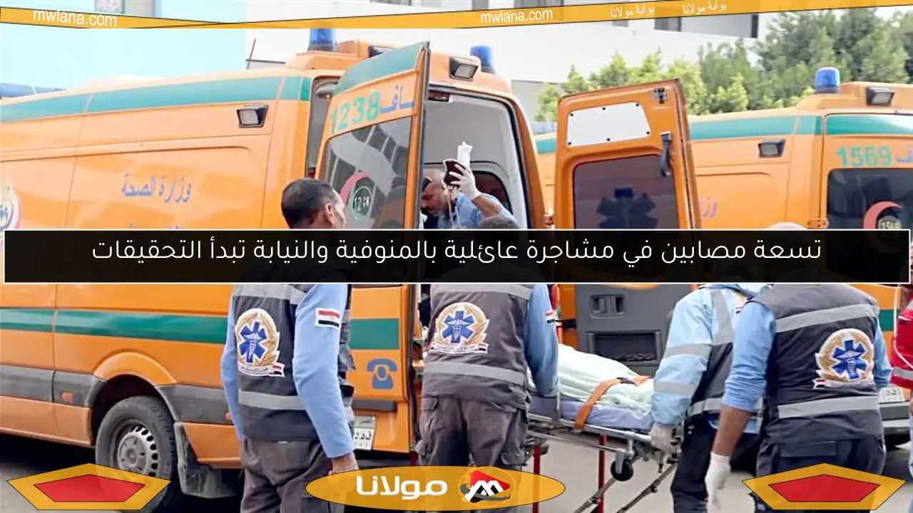 تسعة مصابين في مشاجرة عائلية بالمنوفية والنيابة تبدأ التحقيقات