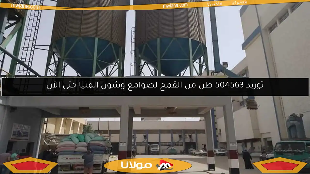 توريد 504563 طن من القمح لصوامع وشون المنيا حتى الآن