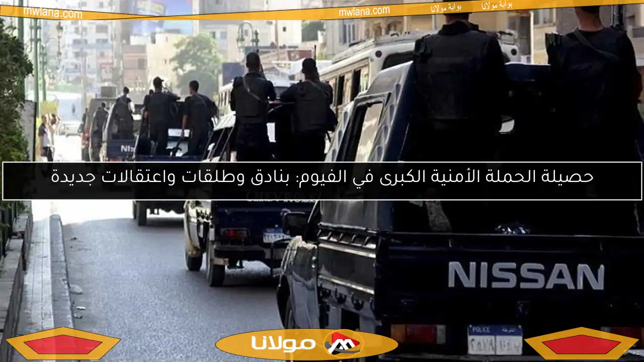 حصيلة الحملة الأمنية الكبرى في الفيوم: بنادق وطلقات واعتقالات جديدة