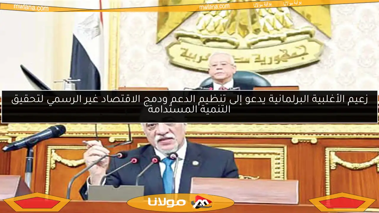 زعيم الأغلبية البرلمانية يدعو إلى تنظيم الدعم ودمج الاقتصاد غير الرسمي لتحقيق التنمية المستدامة