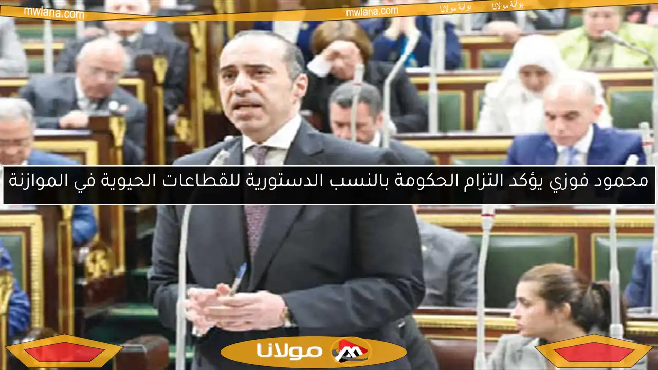 محمود فوزي يؤكد التزام الحكومة بالنسب الدستورية للقطاعات الحيوية في الموازنة
