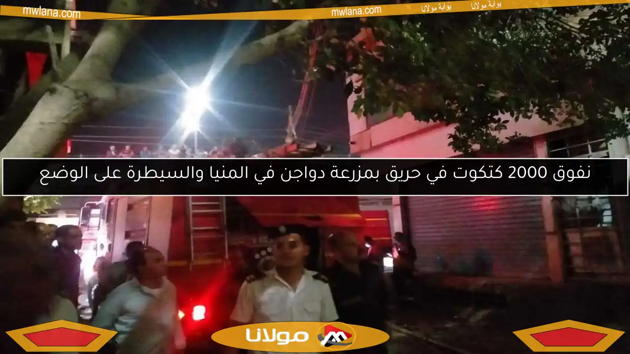 نفوق 2000 كتكوت في حريق بمزرعة دواجن في المنيا والسيطرة على الوضع