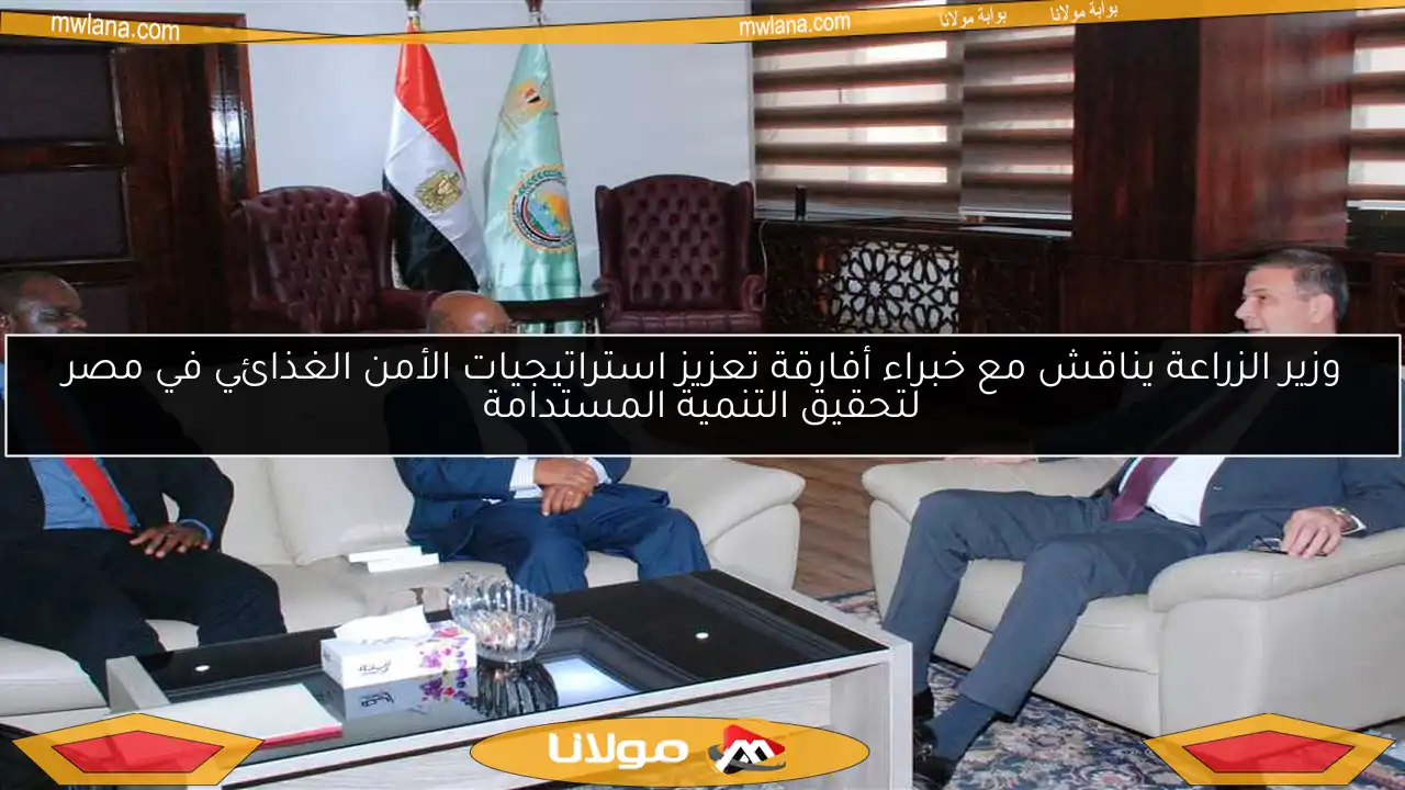 وزير الزراعة يناقش مع خبراء أفارقة تعزيز استراتيجيات الأمن الغذائي في مصر لتحقيق التنمية المستدامة