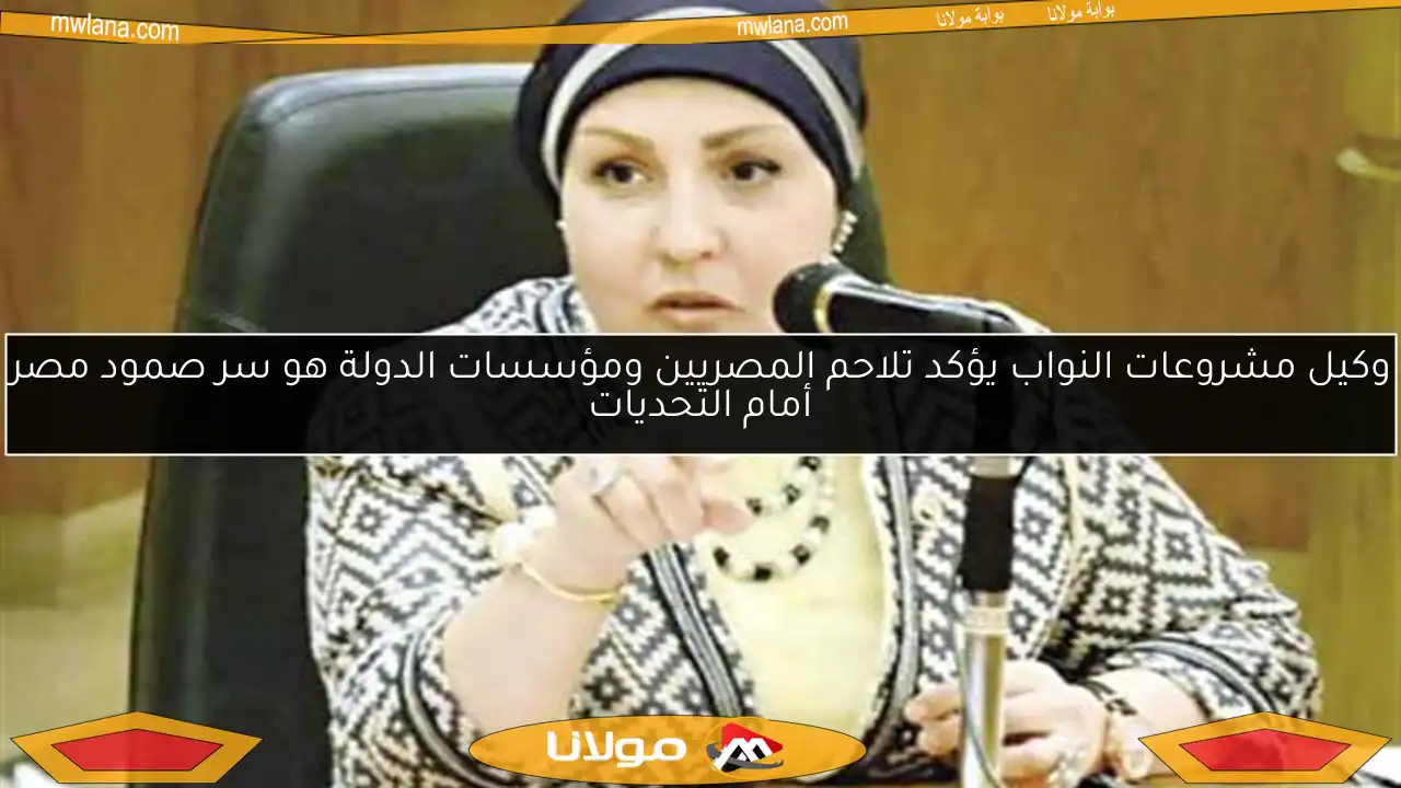 وكيل مشروعات النواب يؤكد تلاحم المصريين ومؤسسات الدولة هو سر صمود مصر أمام التحديات