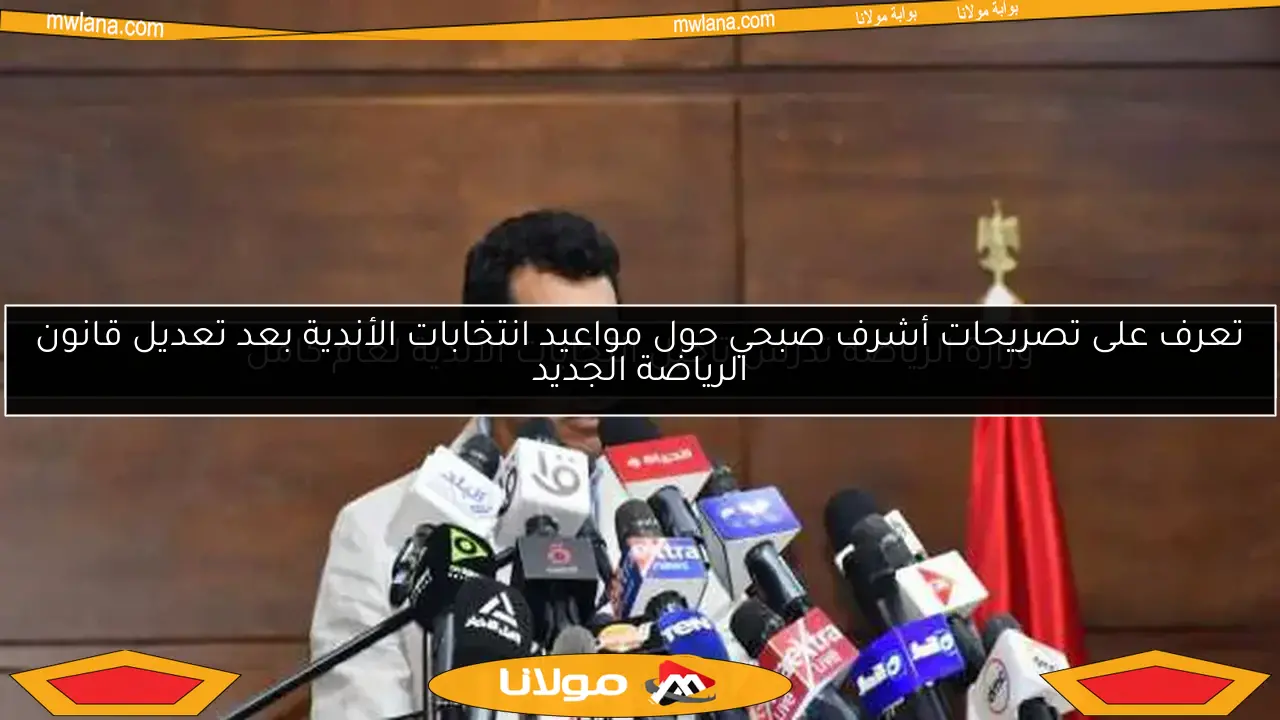 وزارة الرياضة تدرس تأجيل انتخابات الأندية لعام كامل