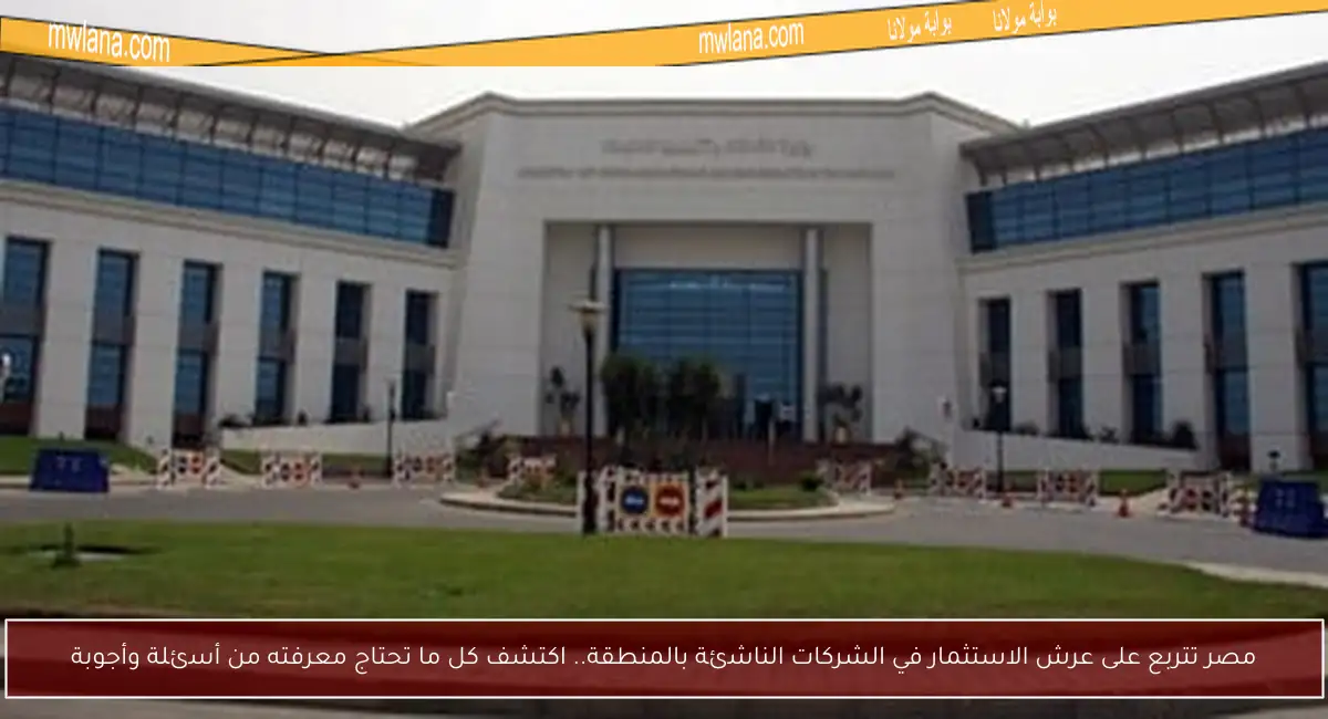 مصر تتربع على عرش الاستثمار في الشركات الناشئة بالمنطقة.. اكتشف كل ما تحتاج معرفته من أسئلة وأجوبة