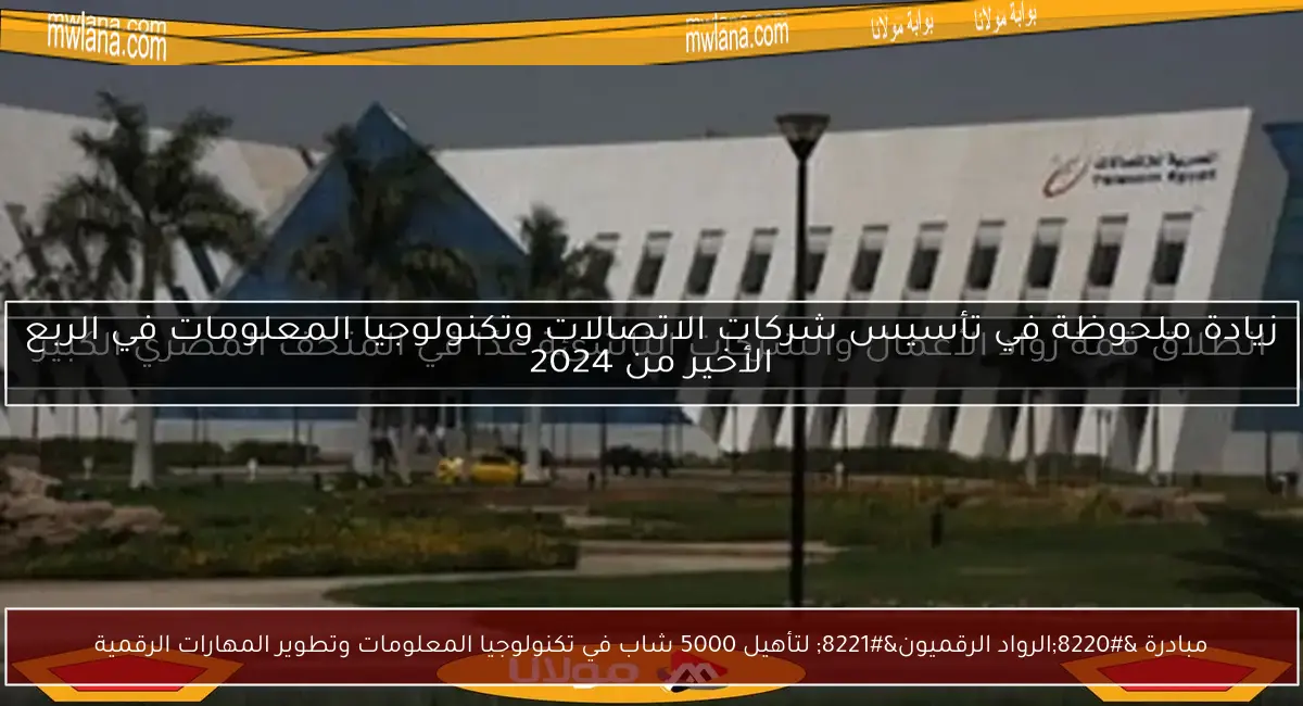 مبادرة “الرواد الرقميون” لتأهيل 5000 شاب في تكنولوجيا المعلومات وتطوير المهارات الرقمية