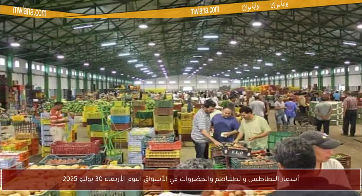 أسعار البطاطس والطماطم والخضروات في الأسواق اليوم الأربعاء 30 يوليو 2025