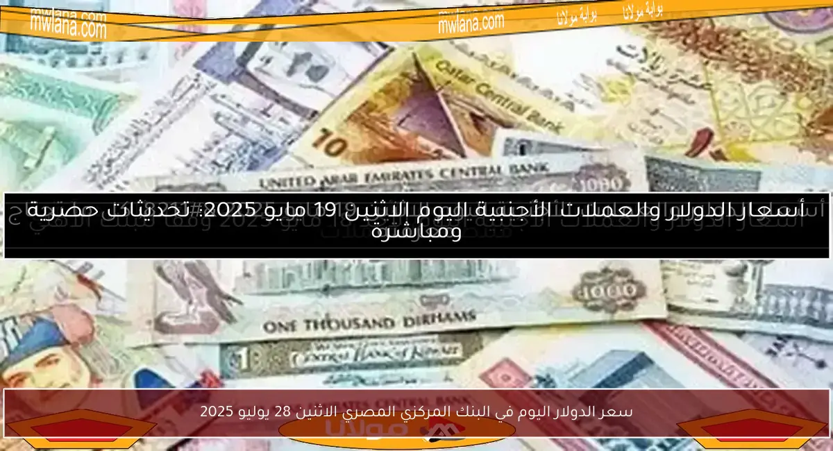 سعر الدولار اليوم في البنك المركزي المصري الاثنين 28 يوليو 2025
