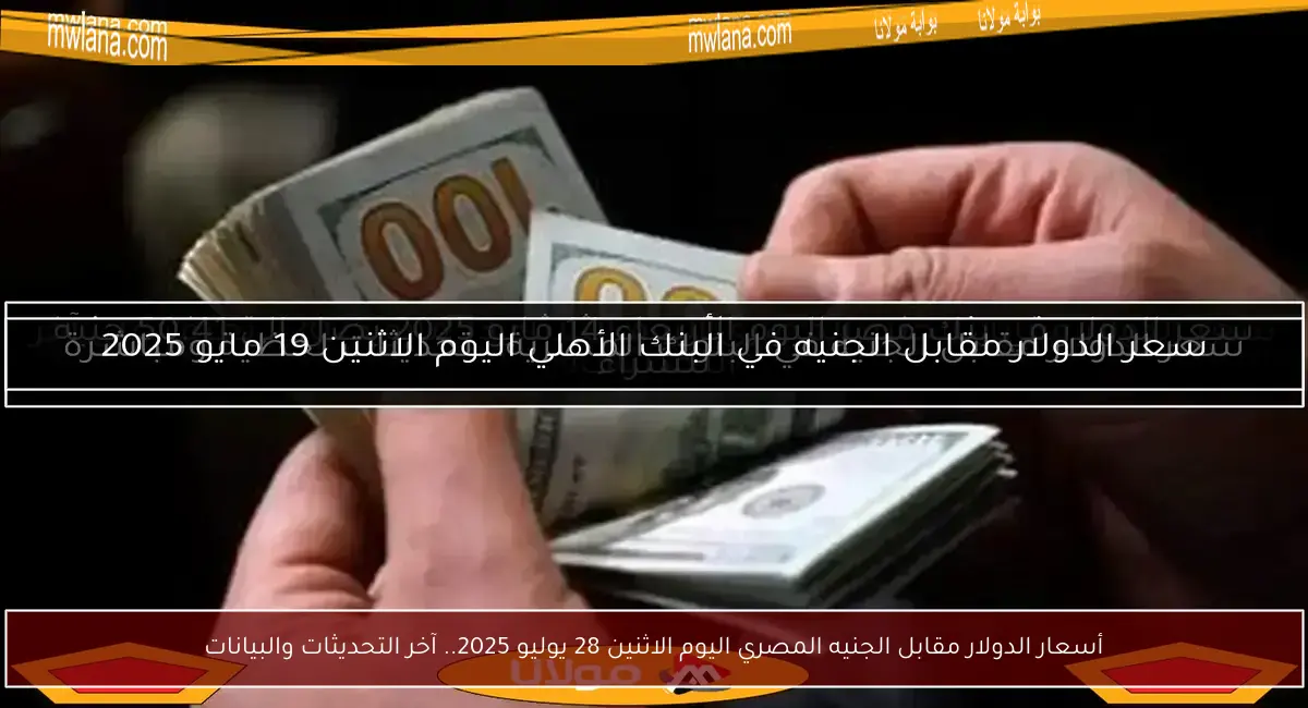 أسعار الدولار مقابل الجنيه المصري اليوم الاثنين 28 يوليو 2025.. آخر التحديثات والبيانات