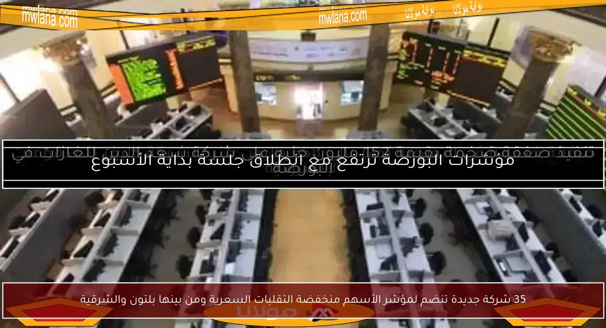 35 شركة جديدة تنضم لمؤشر الأسهم منخفضة التقلبات السعرية ومن بينها بلتون والشرقية
