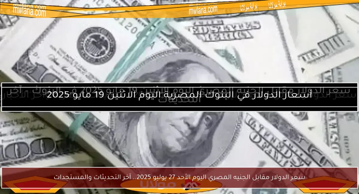 سعر الدولار مقابل الجنيه المصري اليوم الأحد 27 يوليو 2025.. آخر التحديثات والمستجدات