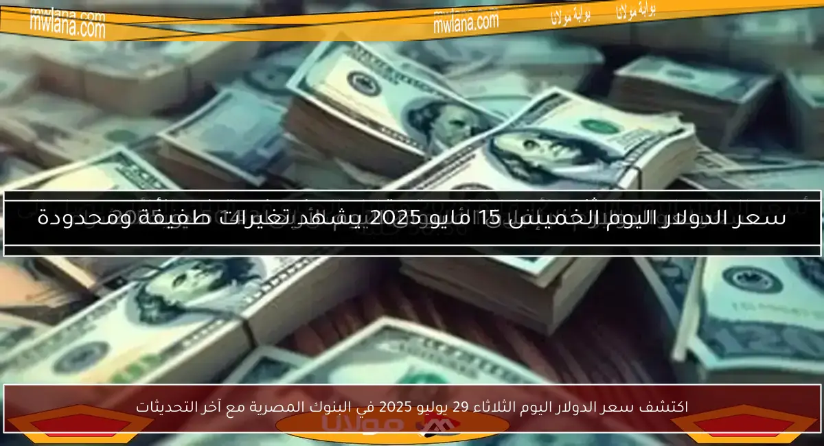 اكتشف سعر الدولار اليوم الثلاثاء 29 يوليو 2025 في البنوك المصرية مع آخر التحديثات