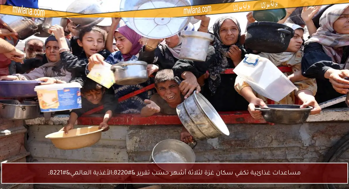 مساعدات غذائية تكفي سكان غزة لثلاثة أشهر حسب تقرير “الأغذية العالمي”