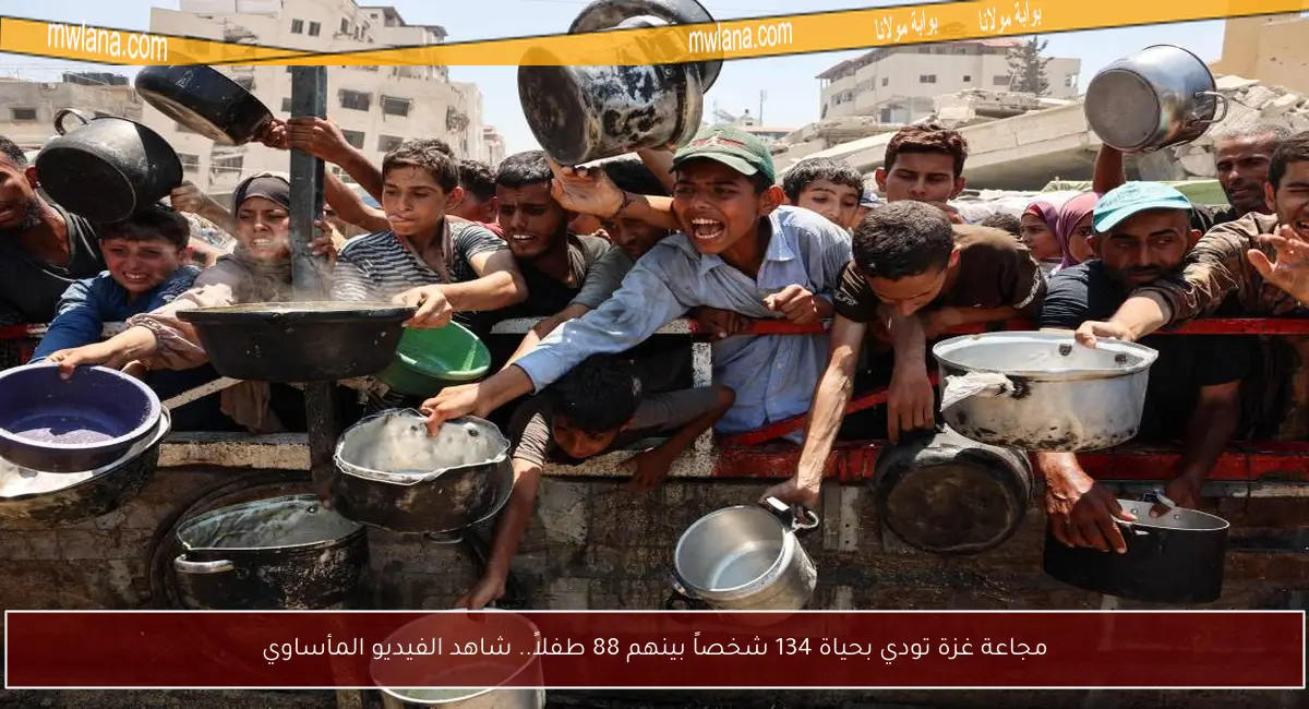 مجاعة غزة تودي بحياة 134 شخصاً بينهم 88 طفلاً.. شاهد الفيديو المأساوي