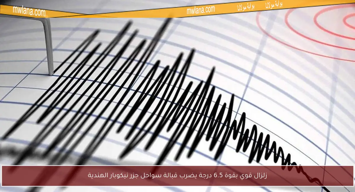 زلزال قوي بقوة 6.5 درجة يضرب قبالة سواحل جزر نيكوبار الهندية